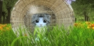 Náhled programu Kitten Super Adventure. Download Kitten Super Adventure